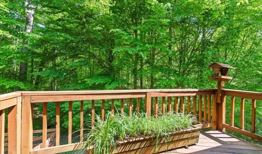 Photo #34 of 3640 Michaux Mill, Powhatan, VA 11.4 acres