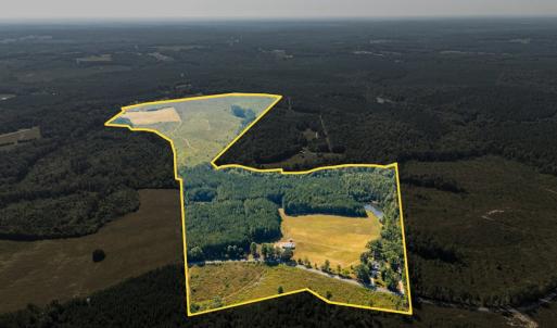 Photo #4 of 1562 Rocks Church Rd, Pamplin, VA 114.1 acres