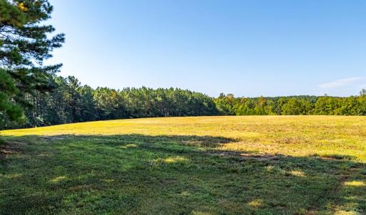 Photo #53 of 1562 Rocks Church Rd, Pamplin, VA 114.1 acres