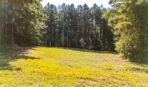 Photo #55 of 1562 Rocks Church Rd, Pamplin, VA 114.1 acres