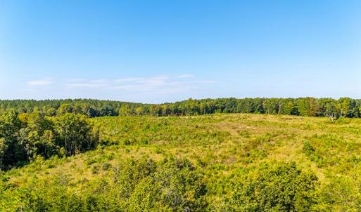 Photo #57 of 1562 Rocks Church Rd, Pamplin, VA 114.1 acres