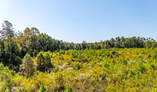 Photo #59 of 1562 Rocks Church Rd, Pamplin, VA 114.1 acres