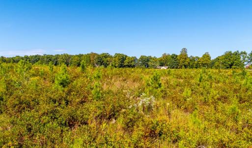 Photo #60 of 1562 Rocks Church Rd, Pamplin, VA 114.1 acres