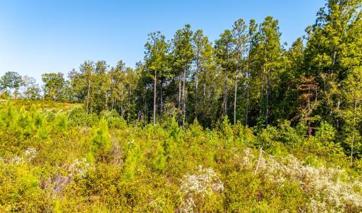 Photo #61 of 1562 Rocks Church Rd, Pamplin, VA 114.1 acres