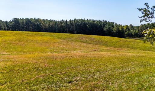 Photo #64 of 1562 Rocks Church Rd, Pamplin, VA 114.1 acres