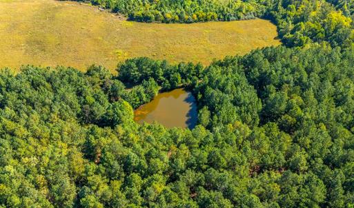 Photo #65 of 1562 Rocks Church Rd, Pamplin, VA 114.1 acres