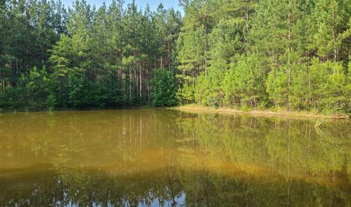 Photo #68 of 1562 Rocks Church Rd, Pamplin, VA 114.1 acres
