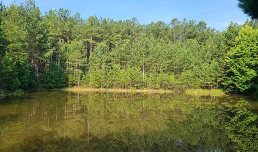 Photo #69 of 1562 Rocks Church Rd, Pamplin, VA 114.1 acres