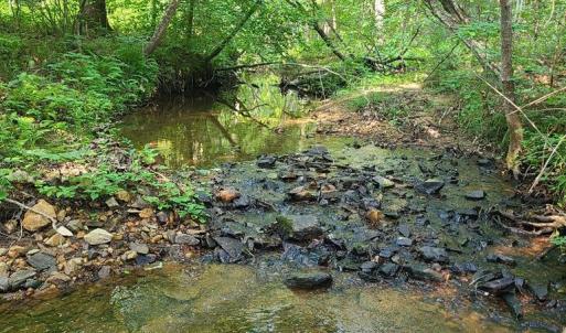 Photo #70 of 1562 Rocks Church Rd, Pamplin, VA 114.1 acres