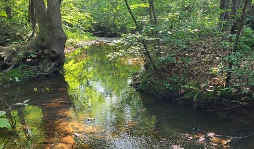 Photo #71 of 1562 Rocks Church Rd, Pamplin, VA 114.1 acres