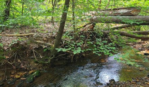 Photo #72 of 1562 Rocks Church Rd, Pamplin, VA 114.1 acres