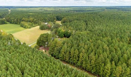 Photo #52 of 2891 Woodsdale Drive, Alberta, VA 2.0 acres