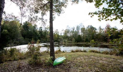 Photo #49 of 1219 Schultz Mill Road, Meherrin, VA 40.7 acres