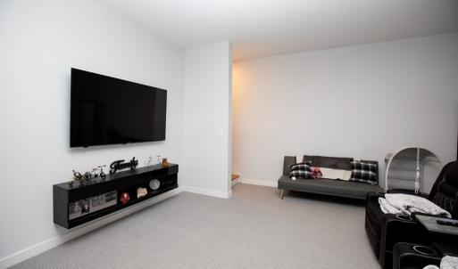 Basement family room