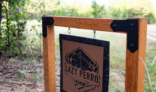 Photo #74 of 1219 Schultz Mill Road, Meherrin, VA 40.7 acres