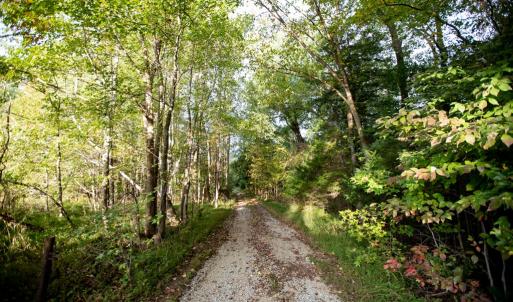 Photo #77 of 1219 Schultz Mill Road, Meherrin, VA 40.7 acres