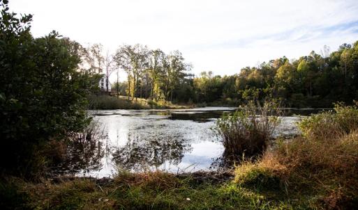 Photo #78 of 1219 Schultz Mill Road, Meherrin, VA 40.7 acres