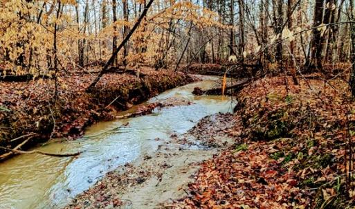 Stream on the property