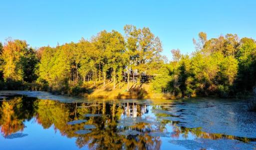 Photo #94 of 1219 Schultz Mill Road, Meherrin, VA 40.7 acres