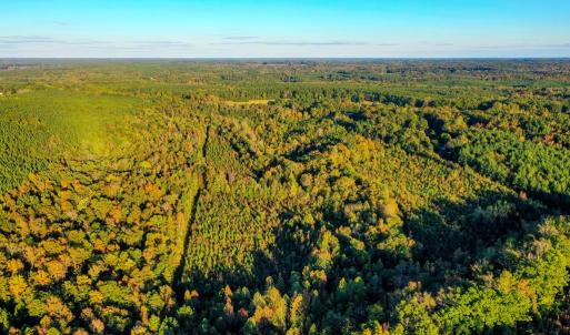 Photo #97 of 1219 Schultz Mill Road, Meherrin, VA 40.7 acres