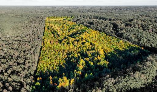 Photo #98 of 1219 Schultz Mill Road, Meherrin, VA 40.7 acres