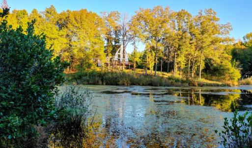 Photo #99 of 1219 Schultz Mill Road, Meherrin, VA 40.7 acres