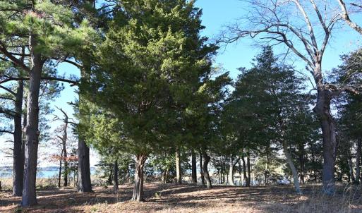 Photo #71 of 2598 CHERRYSTONE RD, CAPE CHARLES, VA 94.7 acres