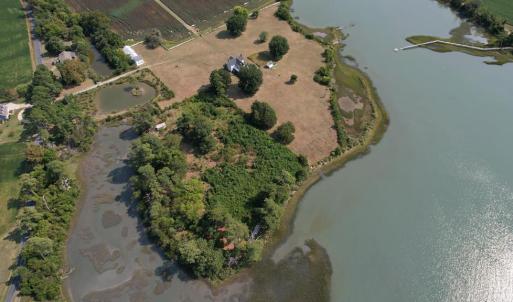 Photo #13 of 2598 CHERRYSTONE RD, CAPE CHARLES, VA 94.7 acres