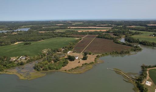 Photo #16 of 2598 CHERRYSTONE RD, CAPE CHARLES, VA 94.7 acres