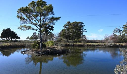 Photo #69 of 2598 CHERRYSTONE RD, CAPE CHARLES, VA 94.7 acres