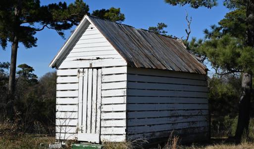 Photo #72 of 2598 CHERRYSTONE RD, CAPE CHARLES, VA 94.7 acres