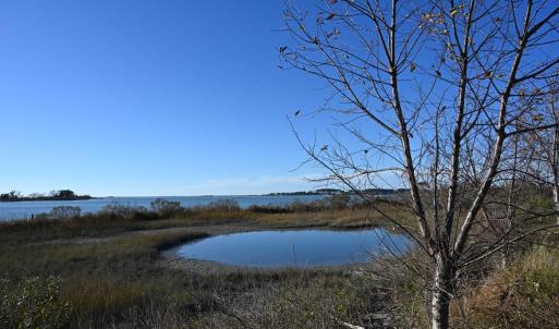 Photo #74 of 2598 CHERRYSTONE RD, CAPE CHARLES, VA 94.7 acres