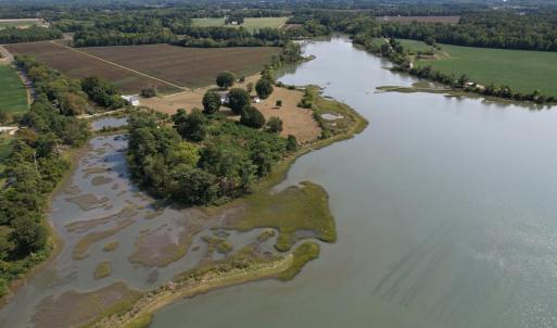 Photo #8 of 2598 CHERRYSTONE RD, CAPE CHARLES, VA 94.7 acres