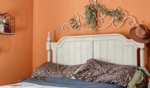 Photo #27 of 305 E 5th Avenue, Kenbridge, VA 0.3 acres