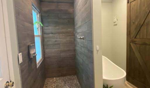 Downstairs Shower and Tub