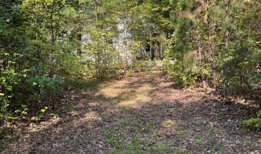 Photo #4 of 9043 Bill Tuck Highway, Virgilina, VA 3.5 acres