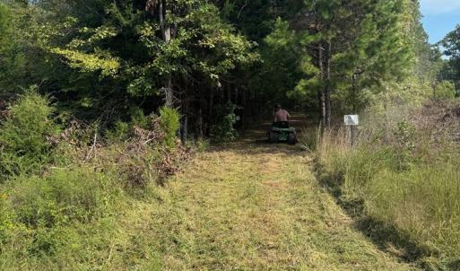 Photo #6 of 9043 Bill Tuck Highway, Virgilina, VA 3.5 acres