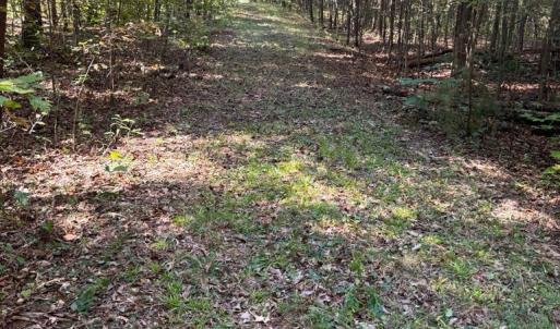 Photo #5 of 9043 Bill Tuck Highway, Virgilina, VA 3.5 acres