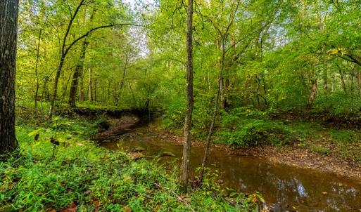 Photo #3 of 213 Deer Run, Farmville, VA 8.0 acres