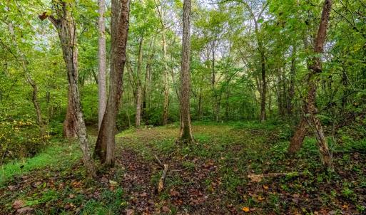 Photo #42 of 213 Deer Run, Farmville, VA 8.0 acres