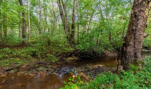 Photo #44 of 213 Deer Run, Farmville, VA 8.0 acres