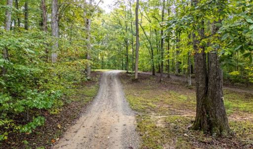 Photo #45 of 213 Deer Run, Farmville, VA 8.0 acres
