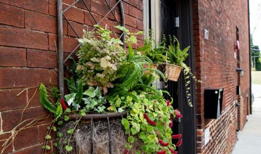 Photo #83 of 235 Main, Farmville, VA