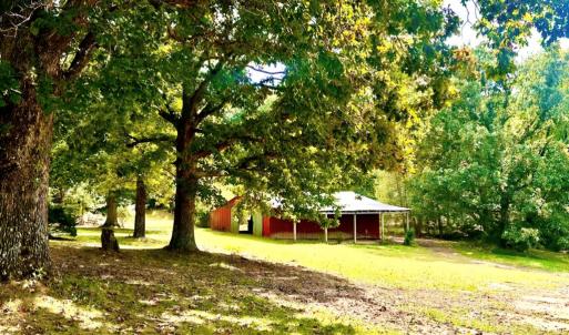 Photo #5 of 205 Hardtimes Rd., Farmville, VA 3.2 acres