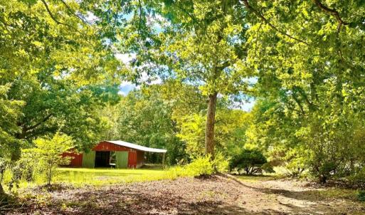 Photo #6 of 205 Hardtimes Rd., Farmville, VA 3.2 acres