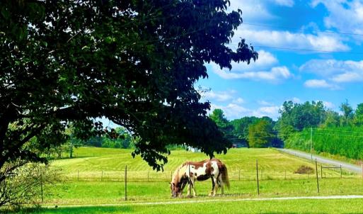 Photo #8 of 205 Hardtimes Rd., Farmville, VA 3.2 acres