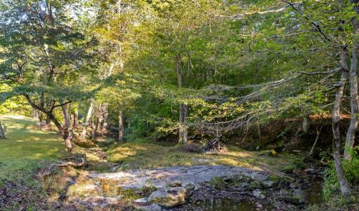 Photo #25 of 2533 Beech Forest Road, Kenbridge, VA 44.0 acres