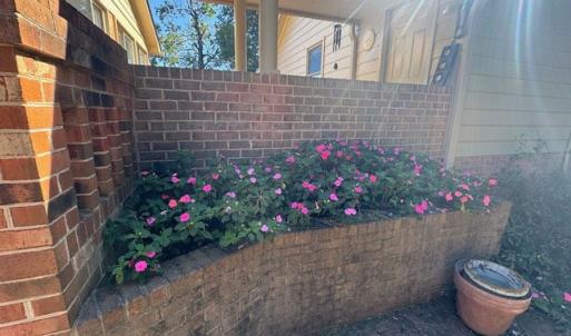 Photo #12 of 733 Morning Star Rd, Appomattox, VA 4.9 acres