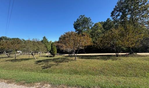 Photo #10 of 827 Wolf Creek Ln, Appomattox, VA 15.3 acres