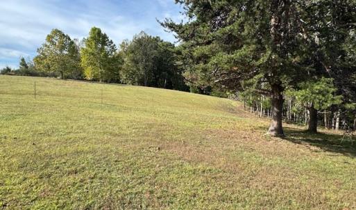 Photo #13 of 827 Wolf Creek Ln, Appomattox, VA 15.3 acres
